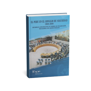 El Perú en el Consejo de Seguridad (2018 - 2019)