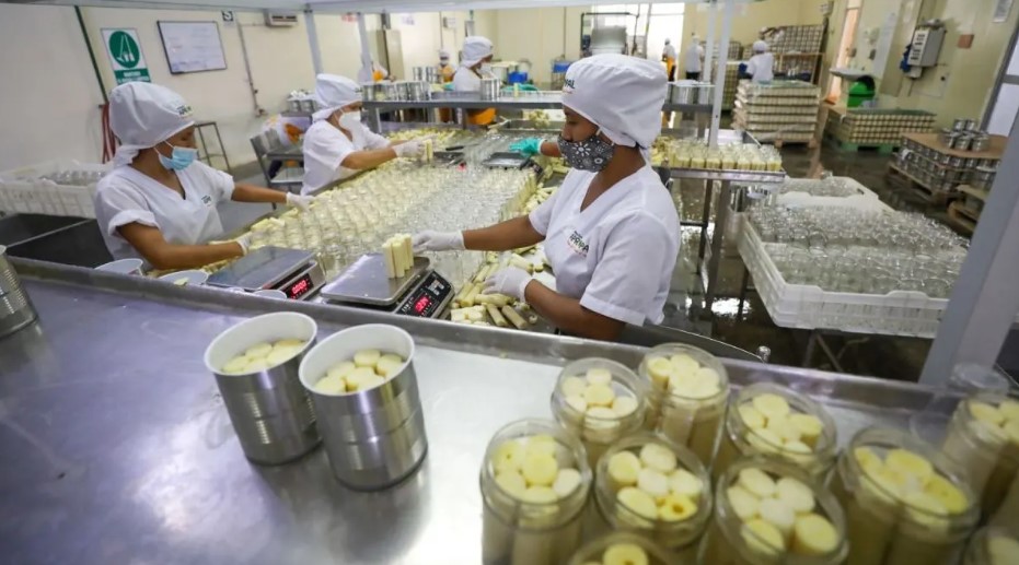 Empleos asociados a exportaciones crecieron 16.1 % impulsados por agroindustria y minería